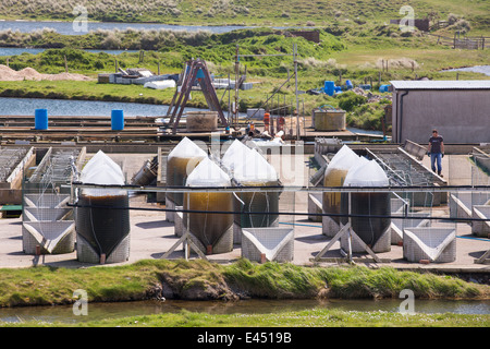 Une ferme ostréicole sur l'Île Walney, Cumbria, UK. Banque D'Images