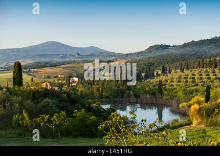 Paysage de collines et de cyprès, la lumière du matin, Val d&# 39;Orcia, UNESCO World Heritage Site, près de Pienza Banque D'Images