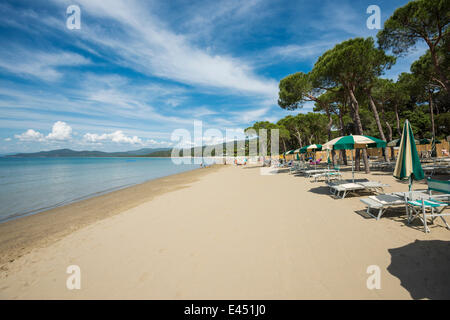 Transats sur la plage, près de Punta Ala, Castiglione della Pescaia, Province de Grosseto, Toscane, Italie Banque D'Images