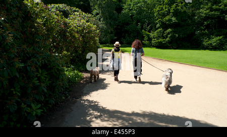 Deux personnes à l'arrière des randonneurs de chiens de marche leurs chiens sur des laisses dans le parc en été à Kenwood House Hampstead Heath Londres Angleterre KATHY DEWITT Banque D'Images