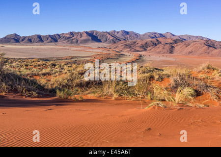 La NamibRand Nature Reserve, Namibie Banque D'Images