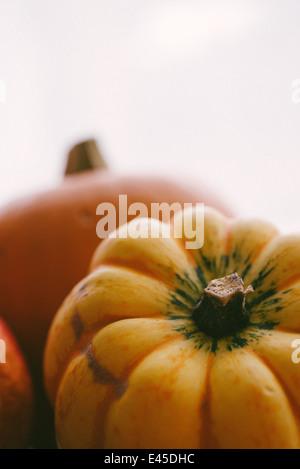 Une variété de citrouilles et courges d'automne prêt à sculpture pour Halloween et spooky conçoit et également pour faire dans les soupes et ragoûts Banque D'Images