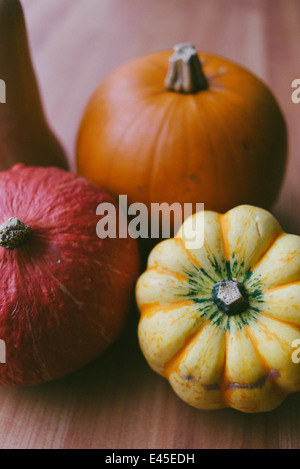 Une variété de citrouilles et courges d'automne prêt à sculpture pour Halloween et spooky conçoit et également pour faire dans les soupes et ragoûts Banque D'Images