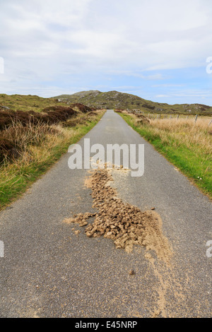 Recherche le long d'un étroit chemin de campagne avec engrais excréments des poneys sauvages. South Uist Outer Hebrides Western Isles Scotland UK Banque D'Images