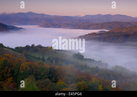 Paysage rural à l'aube à basse altitude, avec brouillard dans la vallée, près de Brasov, en Transylvanie, dans le sud du massif des Carpates, en Roumanie, en octobre 2008 Banque D'Images