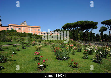 Italie, Rome, Aventino, Roseto Comunale, roseraie municipale Banque D'Images