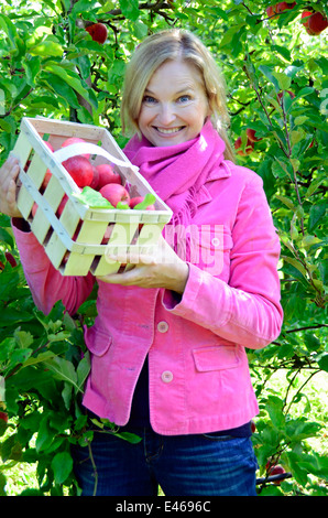 Femme présente fierté même choisi les pommes Allemagne Brandenburg Werder/H. Banque D'Images