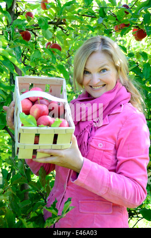 Femme présente des pommes sur une ferme Allemagne Brandenburg/Havel Werder Banque D'Images