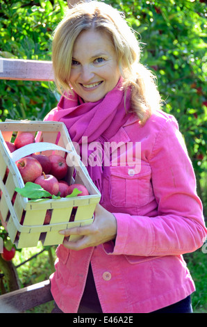 Woman picking apples Allemagne Brandenburg/Havel Werder Banque D'Images