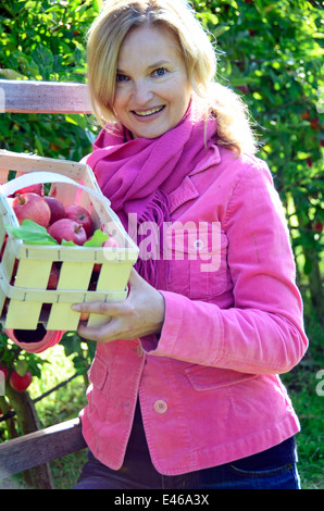 Woman picking apples Allemagne Brandenburg/Havel Werder Banque D'Images