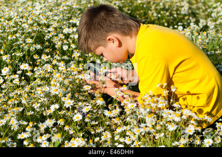 Garçon enfant enfants fleurs jaune vert main personnes jeunes enfants isolés en verre moderne pour enfants sourire personne field holding plaisir l Banque D'Images