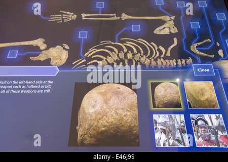 L'exposition de la constatation du roi Richard la troisième qui a été découvert et déterrées par les archéologues à Leicester, Royaume-Uni. Banque D'Images