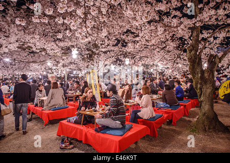 Festival Hanami au parc Maruyama, Kyoto, Japon. Banque D'Images