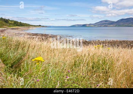 Voir d'Arran à travers le Sandcastles Son d'Peninsuka Grogport sur le Kintyre Banque D'Images