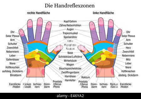 La réflexologie main graphique avec une description précise des organes internes et les parties du corps. Banque D'Images