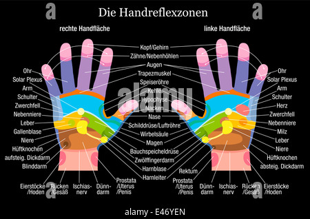 La réflexologie main graphique avec une description précise des organes internes et les parties du corps. Banque D'Images