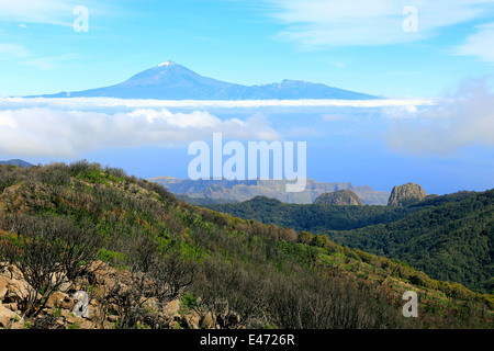 La Palmita, Espagne, vue sur l'île de La Gomera depuis le sommet de Garajonay Banque D'Images