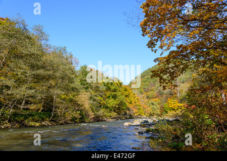 L'automne de Gorge Oirase à Aomori, Japon Banque D'Images