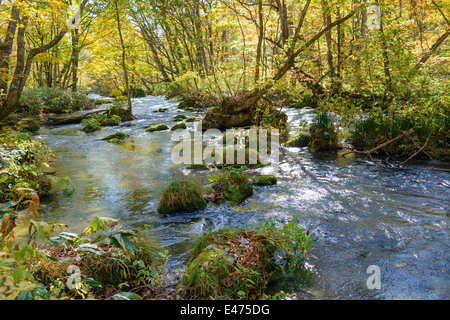 L'automne de Gorge Oirase à Aomori, Japon Banque D'Images