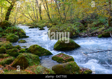 L'automne de Gorge Oirase à Aomori, Japon Banque D'Images