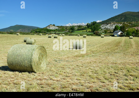 Pays paysage dans les Pyrénées espagnoles Banque D'Images