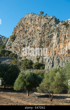 Spanien, Rhodes, Lindos, Landschaft Richtung Pefki Banque D'Images