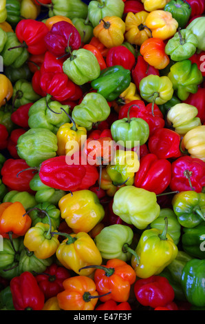 Piments colorés est affiché dans les cases à vendre dans un marché Banque D'Images