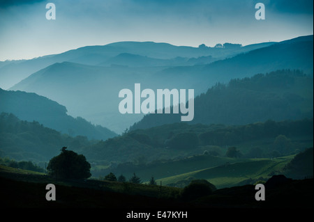 Perspective aérienne : arbres forestiers et de l'imbrication des vallées de la haute vallée de Rheidol au crépuscule, Ceredigion Pays de Galles UK Banque D'Images