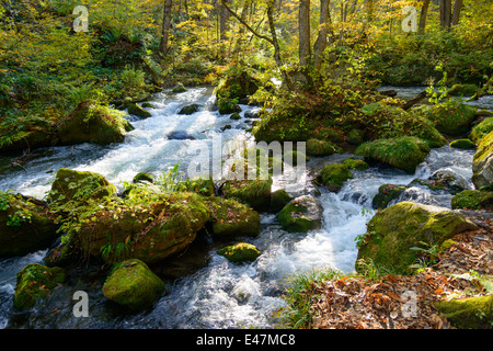 L'automne de Gorge Oirase à Aomori, Japon Banque D'Images