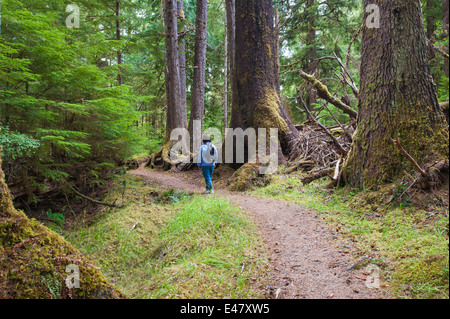 Femme randonnée dans la forêt tropicale du parc provincial Naikoon, Haida Gwaii, îles de la Reine-Charlotte, Colombie-Britannique, Canada.(M.) Banque D'Images