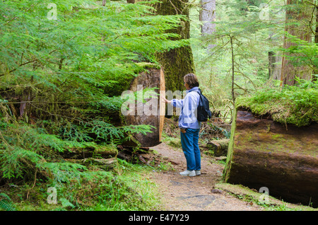 Femme randonnée dans la forêt tropicale du parc provincial Naikoon, Haida Gwaii, îles de la Reine-Charlotte, Colombie-Britannique, Canada.(M.) Banque D'Images