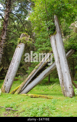 Les Totems Skedans, K'uuna Llnagaay, village des Premières nations anciennes ruines, l'île Graham, l'archipel Haida Gwaii, en Colombie-Britannique, Canada. Banque D'Images