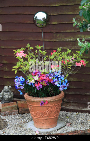 Sphères métalliques décoratifs en terre cuite dans un pot de fleurs, plantes jardin environnement. Banque D'Images