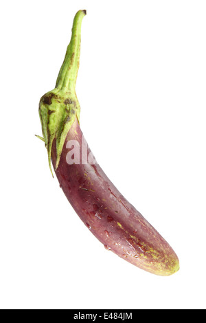 Aubergine pourpre isolé sur fond blanc. Banque D'Images