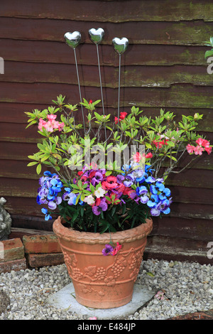 Sphères métalliques décoratifs en terre cuite dans un pot de fleurs, plantes jardin environnement. Banque D'Images