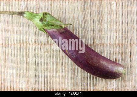 L'aubergine pourpre sur fond noir motif bambou. Banque D'Images