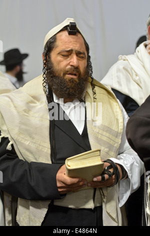 L'homme juif religieux dans une prière fervente au Ohel, la sépulture de Rav Loubavitch de Cambria Heights, dans le Queens, N.Y.C. Banque D'Images