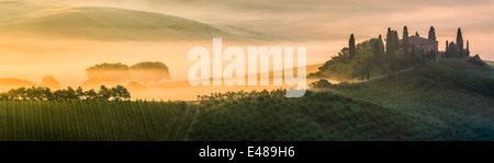 Célèbre Podere Belvedere dans la lumière du matin, au cœur de la Toscane, près de San Quirico in de Val d'Orcia Banque D'Images