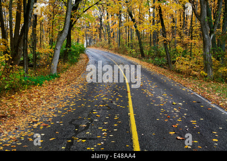 Une route à travers une courbe Blacktop parc luxuriant sur un jour d'automne pluvieux à Sharon Woods, le sud-ouest de l'Ohio, USA Banque D'Images