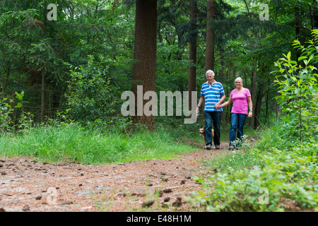 Couple avec chien en forêt en chemin Banque D'Images