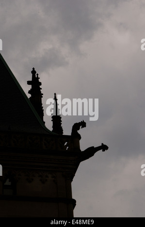 Gargoyle Sillouhette- Biltmore Estate Banque D'Images