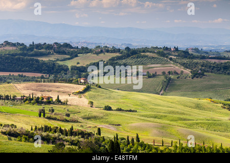 Paysage près de Montepulciano, Toscane. La zone fait partie de la Val d'Orcia. Banque D'Images