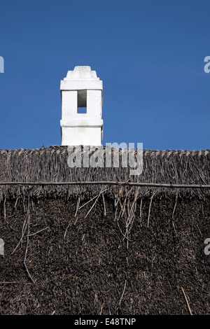 Ancienne ferme dans Aszofö au Lac Balaton, Hongrie Banque D'Images