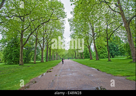 Les gens marcher dans une grande piscine en plein air parc anglais par temps humide le long chemin bordé d'arbres Banque D'Images