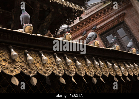 Le Népal, Katmandou, Asan Tole, Temple de l'Annapurna, les pigeons se percher sur les Têtes décoratives Banque D'Images