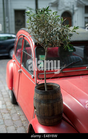 Berlin, Allemagne. Le 06 juillet, 2014. Un olivier se dresse sur une vieille 2CV Citroën à Berlin, Allemagne, 06 juillet 2014. Photo : Maurizio Gambarini/dpa/Alamy Live News Banque D'Images