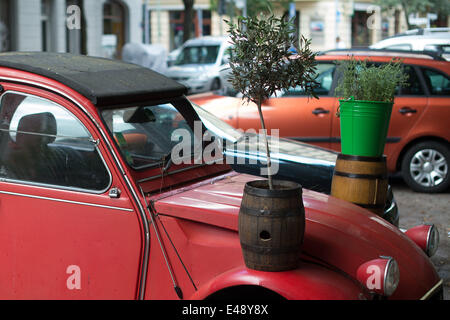 Berlin, Allemagne. Le 06 juillet, 2014. Un olivier se dresse sur une vieille 2CV Citroën à Berlin, Allemagne, 06 juillet 2014. Photo : Maurizio Gambarini/dpa/Alamy Live News Banque D'Images