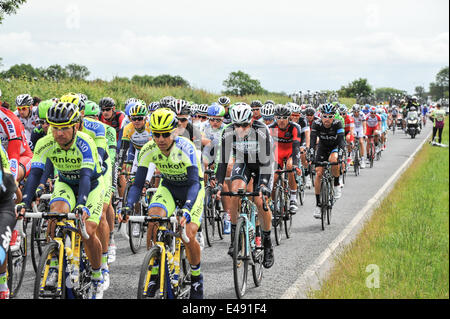 Green Hammerton, Yorkshire, UK. 6 juillet, 2014. Le peleton sur la deuxième étape du Tour de France Crédit : Richard Burdon/Alamy Live News Banque D'Images
