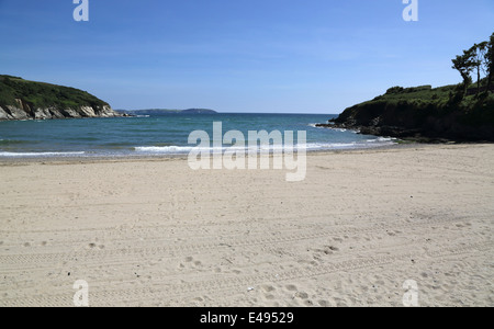 La plage de maenporth sur la côte de Cornouailles Banque D'Images