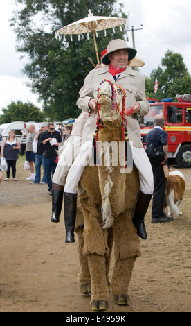 Quelques Double-Hump Costume Camel Banque D'Images